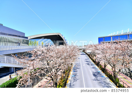 Tokyo Stadium / Ajinomoto Stadium Area (Chofu City, Tokyo) [2020.3] 85374955