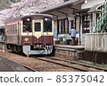 Train going through the cherry blossoms 85375042