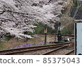 Sakura and points 85375043