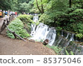 Waterfall 85375046