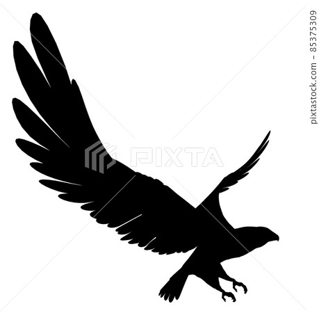 Silhouette of a sea eagle 85375309