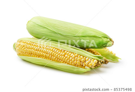 Corncobs or corn ears isolated 85375498