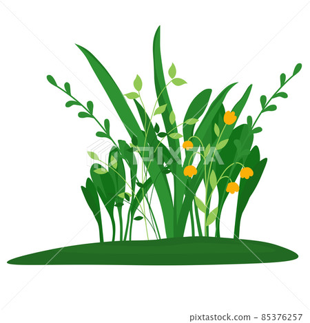 Green grass vector stock illustration. Meadow, wildflowers. A bush of plants. Landscape. Isolated on a white background. Green grass vector stock illustration. Meadow, wildflowers. A bush of plants. Landscape. Isolated on a white background. 85376257