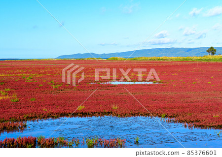 能取呂內湖珊瑚草社區北海道東北海道網走 85376601