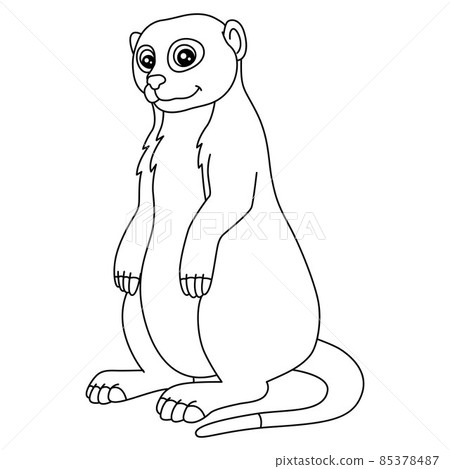 Meerkat Coloring Page Isolated for Kids Meerkat Coloring Page Isolated for Kids 85378487