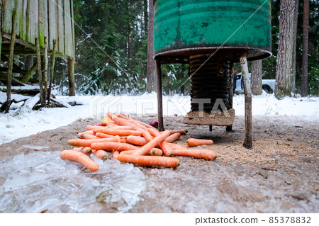 Manger for winter feeding of wild animals in forest. Forest animal feeder in winter. Defocused 85378832