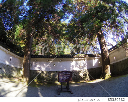 Obi Castle Power Spot Happy Cedar 85380582