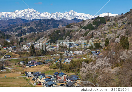 Nagano Prefecture / Sakura in Nitanda "The Most Beautiful Village in Japan (Union)" Ogawa Village 85381904