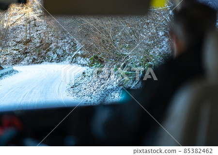 Nagano Prefecture Utsukushigahara Plateau Venus Line Scenery Sun High Place Sightseeing Alps Travel Mountaineering Winter Driver's Seat Car 85382462