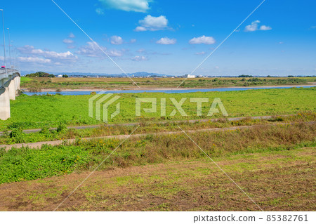利根川路站羽生近昭和橋秋景 85382761