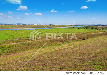 音川，河床，羽生路站附近，昭和橋下游，秋景 85382762