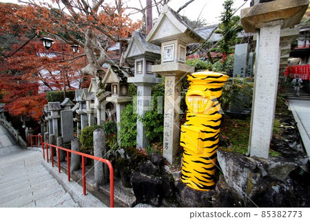 Asako Sonokoji 85382773