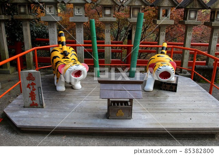 Asako Sonokoji 85382800