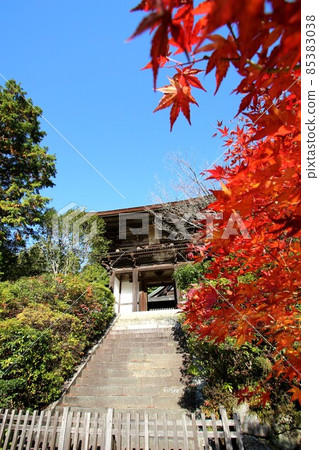 Circular temple 85383038