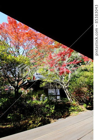 圓形寺廟 圓形寺廟 85383043