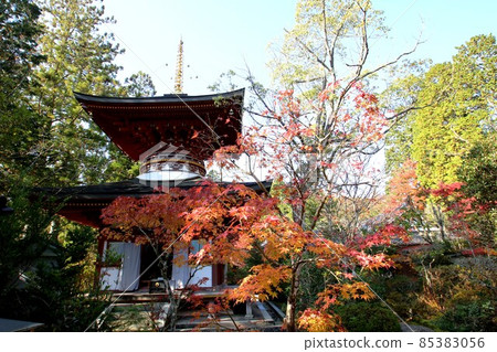 Circular temple 85383056