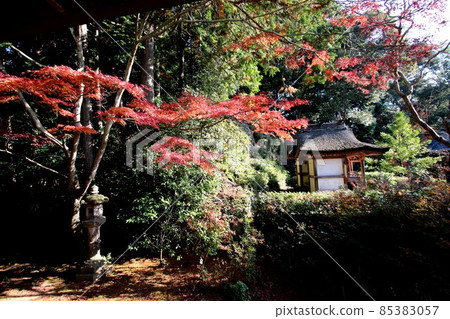 Circular temple Circular temple 85383057