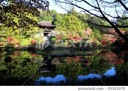 Circular temple Circular temple 85383078