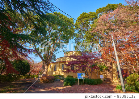 東京多摩市櫻丘公園舊多摩聖石紀念館（南側）和秋葉 85383132