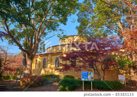 Former Tama Seiseki Memorial Hall (south side) and autumn leaves in Sakuragaoka Park, Tama City, Tokyo in autumn 85383133