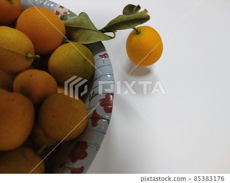 收穫的金橘 收穫的金橘 85383176