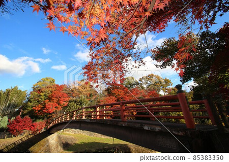Autumn leaves of the Tatsuta River 85383350