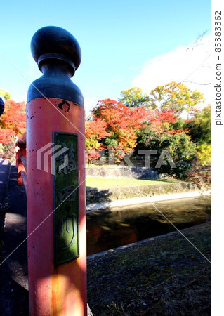 Tatsuta河的秋葉 85383362