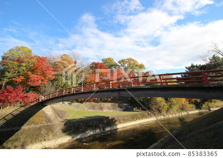 Tatsuta河的秋葉 85383365