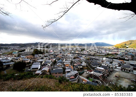 Autumn leaves of the Tatsuta River 85383383
