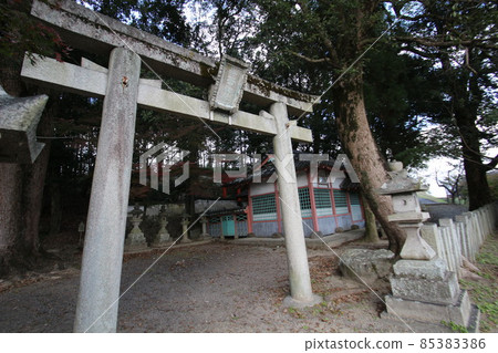 Tatsuta河的秋葉 85383386