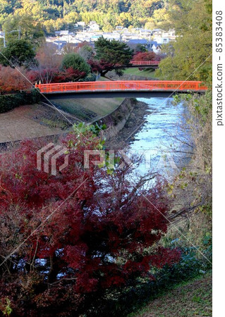 Autumn leaves of the Tatsuta River 85383408