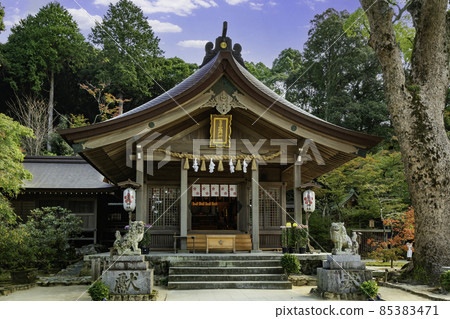 福岡縣太宰府市太宰府鐮戶神社海殿 福岡縣太宰府市太宰府鐮戶神社海殿 85383471