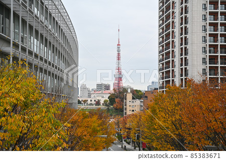 從東京的櫸樹坂看東京塔的風景 從東京的櫸樹坂看東京塔的風景 85383671