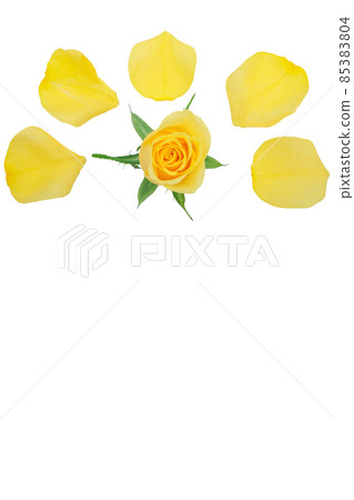 Rose yellow yellow rose yellow rose rose rose 85383804