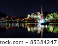 茨城縣水戶市千波湖的彩色噴泉夜景 茨城縣水戶市千波湖的彩色噴泉夜景 85384247