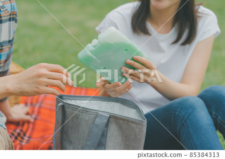 picnic, date, heterosexual couple 85384313