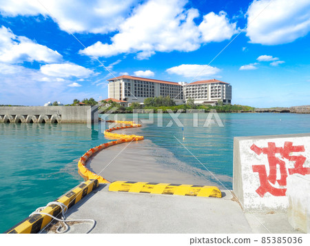 油網 油網 85385036