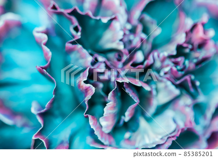 Retro art, vintage card and botanical concept - Abstract floral background, blue carnation flower. Macro flowers backdrop for holiday brand design Retro art, vintage card and botanical concept - Abstract floral background, blue carnation flower. Macro flowers backdrop for holiday brand design 85385201