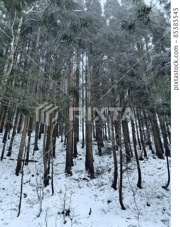 Satoyama snow scene 85385545