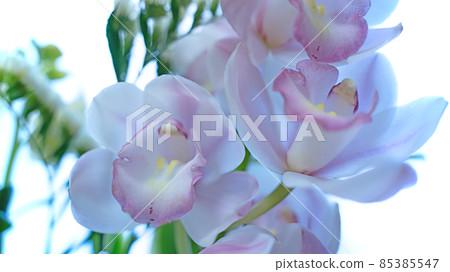 Icon auto alignment background wallpaper 85385547