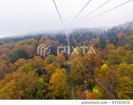 View the foggy mountain of autumn leaves from the ropeway (Zao Onsen Ski Resort, Yamagata Prefecture) 85385658
