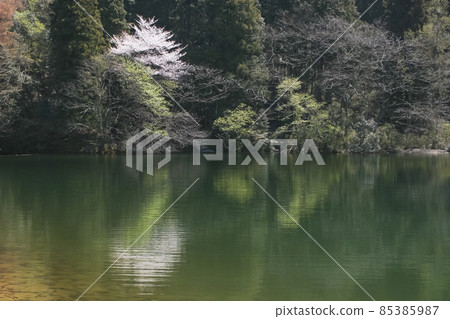 Spring scenery of Yohoro Kishitani Reservoir Spring scenery of Yohoro Kishitani Reservoir 85385987