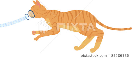 Cat with inhalation anesthesia, lung ventilation Cat with inhalation anesthesia, lung ventilation 85386586