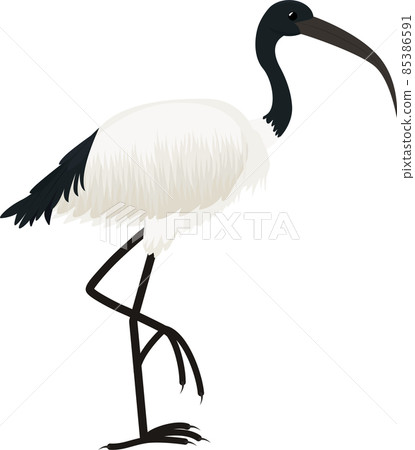 Cartoon vector icon of ibis bird isolated on blue 85386591