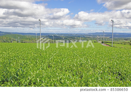 Hills with tea plantations-Iwata City, Shizuoka Prefecture Hills with tea plantations-Iwata City, Shizuoka Prefecture 85386650