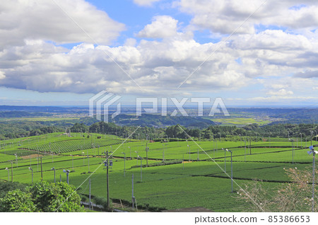 Hills with tea plantations-Iwata City, Shizuoka Prefecture Hills with tea plantations-Iwata City, Shizuoka Prefecture 85386653