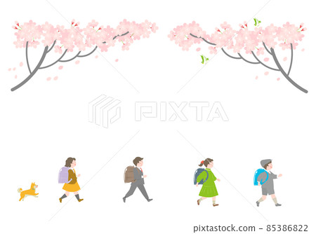 書包兒童和盛裝的櫻花 85386822