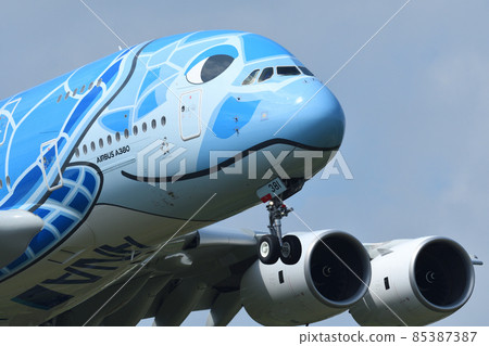 全日空航空公司 (ANA) 大型客機著陸進場 85387387