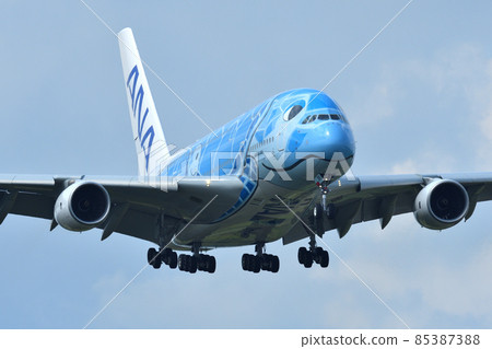 All Nippon Airways (ANA) large passenger plane on landing approach 85387388