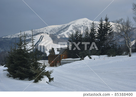 Winter snow scene in Hokkaido, Japan Winter snow scene in Hokkaido, Japan 85388400